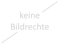 Die Polizei hat mit einem Hubschrauber nach Einbrechern iN Winzlar gesucht.